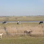 Дом отдыха Buesumer Blaue Krabbe Бюзум
