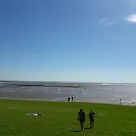 Buesumer Blaue Krabbe Бюзум
