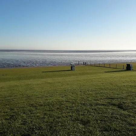 Buesumer Blaue Krabbe * Büsum