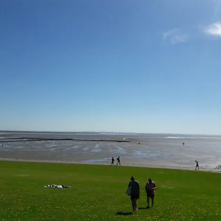 Buesumer Blaue Krabbe Büsum