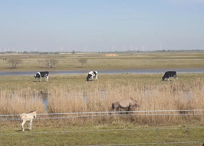 Vakantiehuis Buesumer Blaue Krabbe Büsum