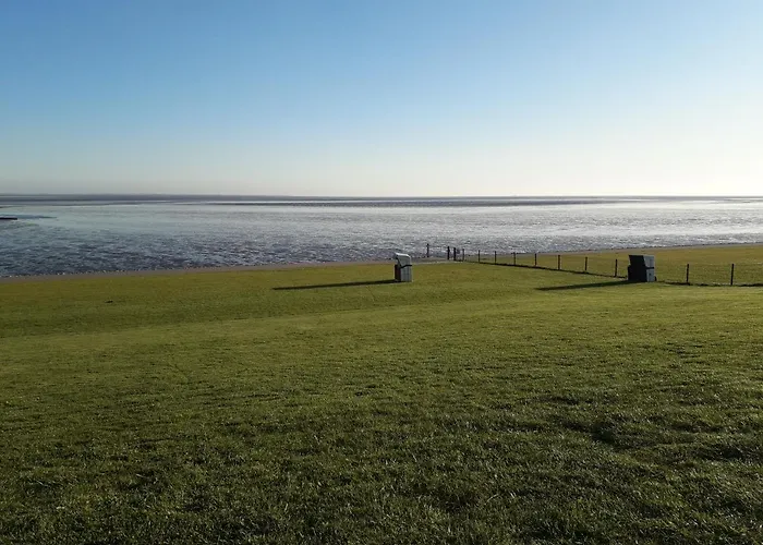 Buesumer Blaue Krabbe * Büsum