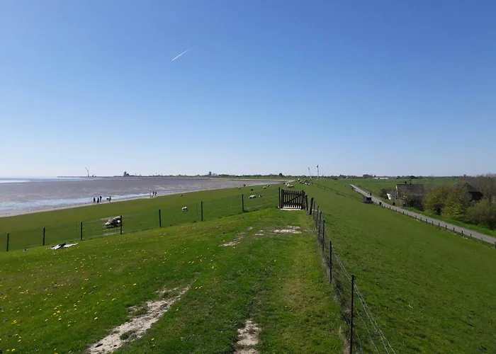 Buesumer Blaue Krabbe